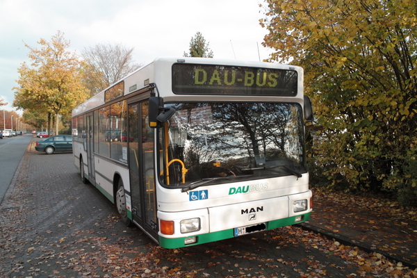 dau-bus