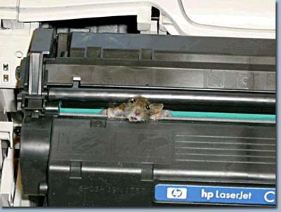 Maus im Drucker